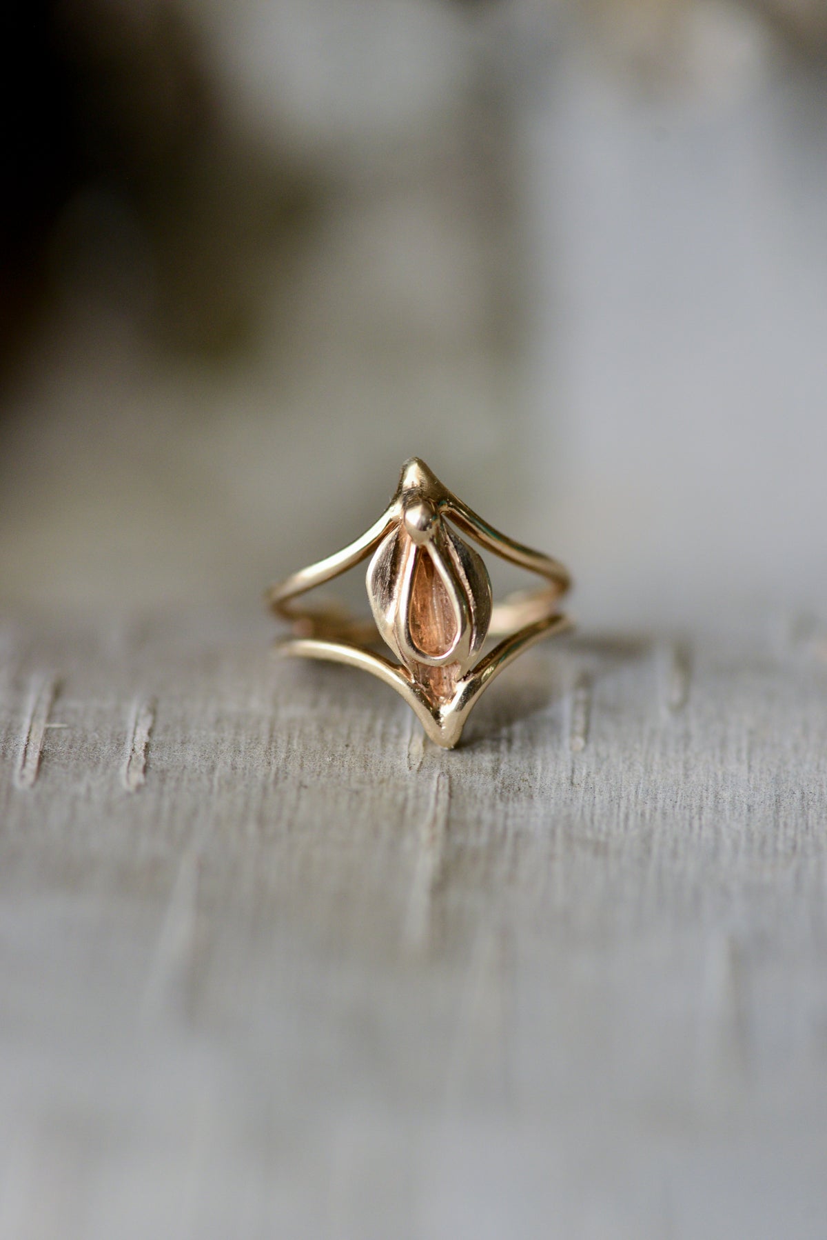 HERA - Vulva Ring image 0